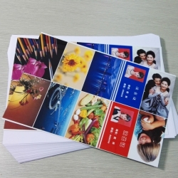 Offset Printing sheet MOP Series